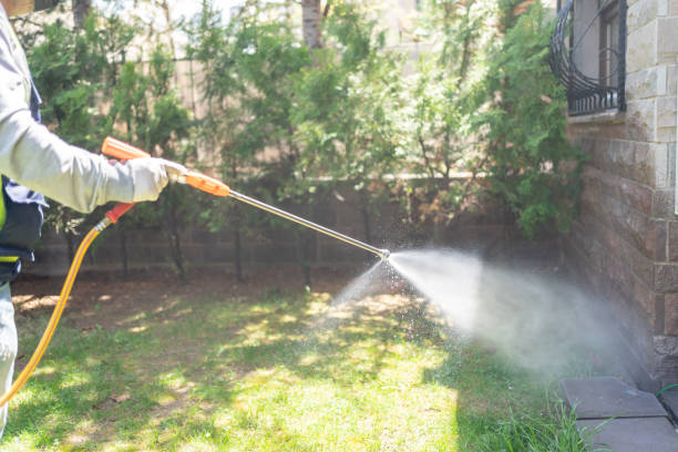 Professional Pest control in Westlake Village, IL